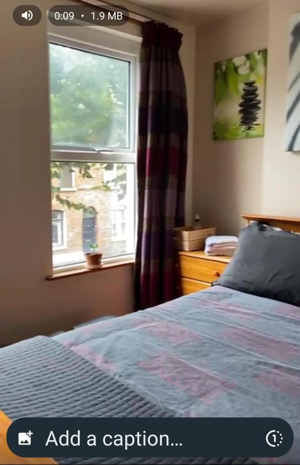 Riverview Homestay Belfast